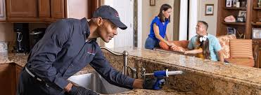 Best Residential Pest Control  in Glen Rose, TX