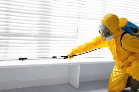 Best Fumigation Services  in Glen Rose, TX